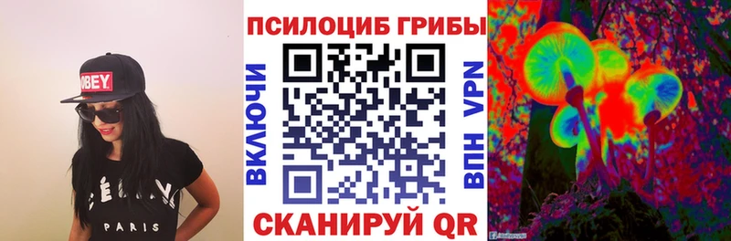 наркотики  Воткинск  Псилоцибиновые грибы Psilocybine cubensis 